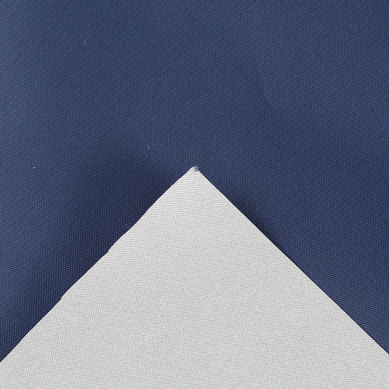 Color Taffeta cum Argentea Coating-01