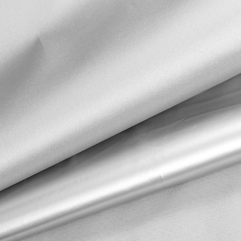 Color Taffeta cum Argentea Coating-07